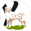 Yedraussie profile picture